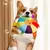 Juguete interactivo Bel integrado para perros pequeños, juguetes para masticar,