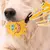 Bolas chirriantes para perros medianos, grandes y pequeños, cara sonriente, jug - tienda en línea