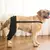 Manga de recuperación para perros, rodillera trasera, soporte para articulacion