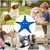 Juguete de estrella de mar para perro, peluche chirriante, juguete interactivo p