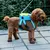 Mochila De viaje portátil de hombro para Bulldog al aire libre, morral doble pa