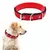 Collar de nailon ajustable para mascotas, correa circular para el cuello con ani en internet