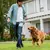 Imagen de Bolsa de entrenamiento para perros, contenedor de cierre automático portátil c