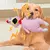 Pollo chillón de dibujos animados para mascotas, juguete interactivo para masti en internet