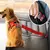 Cinturón de seguridad ajustable para perro y gato, arnés con Clip de plomo, pa - comprar en línea