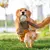 Juguetes de peluche para perros, juguetes chirriantes para mascotas, juguetes in - comprar en línea