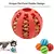 Pelota interactiva elástica para perros pequeños, juguete masticable para cach - tienda en línea
