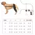 Imagen de Manga de recuperación para perros, rodillera trasera, soporte para articulacion