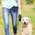 Bolsa portátil de silicona para entrenamiento de perros, saco de viaje para cam - comprar en línea