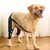 Manga de recuperación para perros, rodillera trasera, soporte para articulacion - comprar en línea
