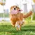 Imagen de Pollo chillón de dibujos animados para mascotas, juguete interactivo para masti