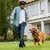 Bolsa portátil de silicona para entrenamiento de perros, saco de viaje para cam - Tienda Perrionni