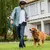 Bolsa portátil de silicona para entrenamiento de perros, saco de viaje para cam - Tienda Perrionni
