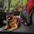 Imagen de Funda impermeable para asiento de coche para perros, hamaca de viaje para mascot