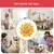 Bolas chirriantes para perros medianos, grandes y pequeños, cara sonriente, jug