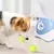 Lanzador automático de pelotas para perros pequeños a medianos, lanzador de te - comprar en línea