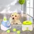 Lanzador automático de pelotas para perros pequeños a medianos, lanzador de te