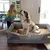 Cama ortopédica extragrande impermeable para perro, ropa de cama de espuma de e - comprar en línea