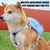 Mochila con arnés para perro, Bolsa Escolar para cachorros, diseño de anillo d en internet