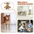 Juguete chirriante de felpa para perro, juguete divertido para masticar, juego p - Tienda Perrionni