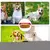 Imagen de Hot Dog-juguetes para masticar de colores brillantes para perros, gatos y otros