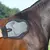 Manopla de lavado de caballo, cepillo de aseo de silicona para pelo de mascotas,