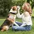Imagen de Bolsa de entrenamiento para perros, contenedor de cierre automático portátil c