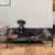 Cama elevada para perros y gatos, tumbona desmontable de felpa, refrigeración, - Tienda Perrionni
