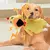 Pollo chillón de dibujos animados para mascotas, juguete interactivo para masti
