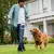 Bolsa de entrenamiento para perros, contenedor de cierre automático portátil c - Tienda Perrionni