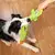 Juguete de comida chirriante para perros, mordedor multifunción, juguetes de en en internet