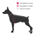 Poleron Adidog - tienda online