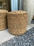 Puff seagrass - comprar online