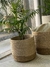 Canasto Seagrass - comprar online