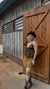 SAIA SUEDE