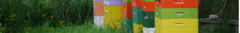 Banner de la categoría Productos de la Colmena