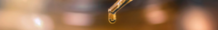 Banner de la categoría Propóleo