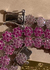 Riviera de flores cravejadas em degrade Pink no banho Ródio Branco - comprar online