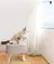 Brinquedo para gato pássaro interativo - loja online