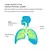 Máquina Nebulizadora Portátil para Adultos e Crianças