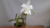 Banner de Vivero Tizza