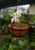 Banner de Vivero Tizza