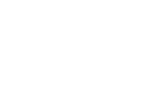 Kushopp Mayorista