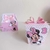 Imagem do Kit Clássico Minnie Rosa