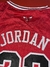 Camiseta Bulls Jordan en internet