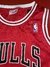 Camiseta Bulls Jordan - JG INDUMENTARIA