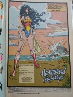 Wonder Woman #90 en internet