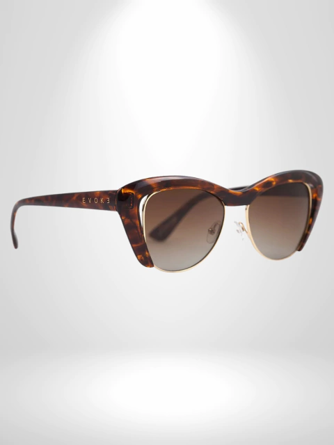 ÓCULOS EVOKE - CAT CITY G21S TURTLE SHINE EYE