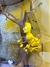 Imagen de Figura McFarlene Toys The Simpsons The Island Of Dr. Hibbert Deluxe Boxed Set 2006