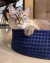 Cama cesto - Gato Caju